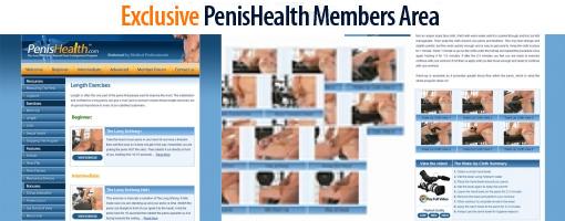 Penis health exercise program